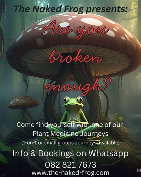 The Naked Frog Mushrooms Journeys Cape Town