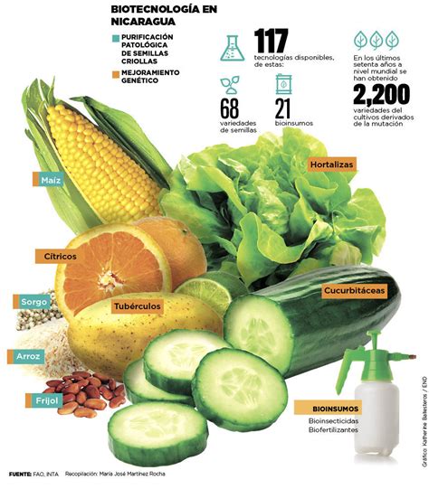 Biotecnolog A Alimentaria Mind Map