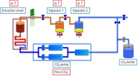 Schematic Diagram Of The Extraction Unit Lab Sfe 100 Ml The Red