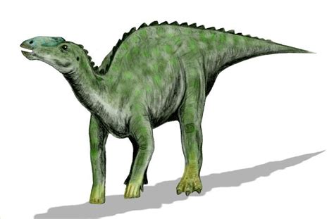 Pictures And Profiles Of Duck Billed Dinosaurs