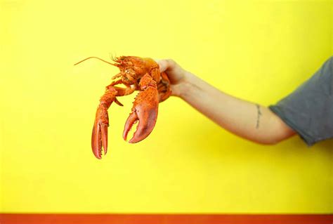 How To Keep Lobsters Alive At Home And More Klenda Seafood