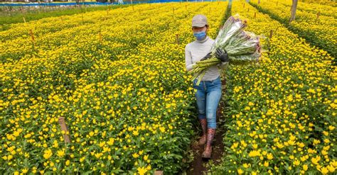 Exportaciones Colombianas Crecieron En Enero Impulsadas Por El