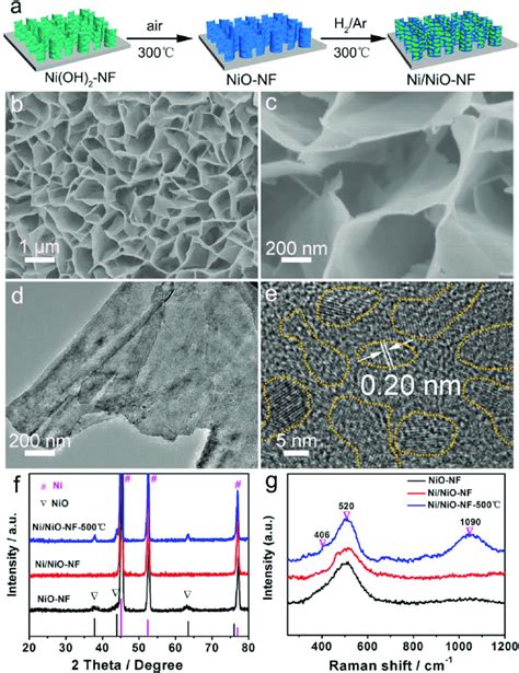 A Schematic Illustration Of The Preparation Of Ni Nio Nf B C Sem Download Scientific