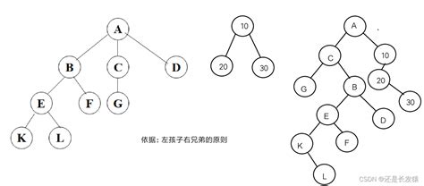 数据结构中的“树”形结构树形结构 Csdn博客