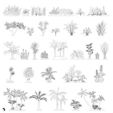 Cad Tropical Plants Toffu Co