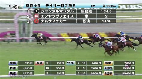 【1111 デイリー杯2歳sほか】京都ダイジェストjraレース結果 競馬予想動画 Netkeiba