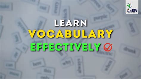 How To Learn Vocabulary Effectively Seed To BIG YouTube