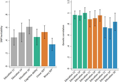 Snp Heritability And Genetic Correlations Between Phenotypes A Gray