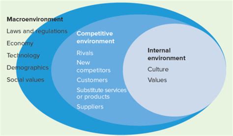 MGMT 310 Chapter 3 The Organizational Environment And Culture