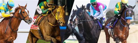 概要・過去成績 2024ドバイワールドカップ Jra Van World 海外競馬情報サイト