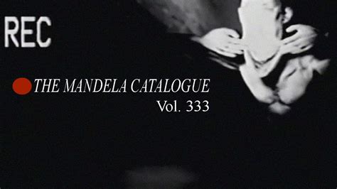 Lo Peor Que Pudo Suceder The Mandela Catalogue Vol 333 Explicado