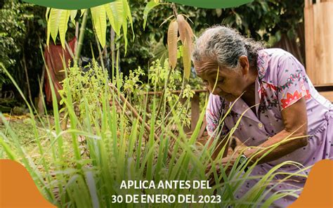 Saberes Ancestrales Aportes De Los Pueblos Ind Genas Alianza