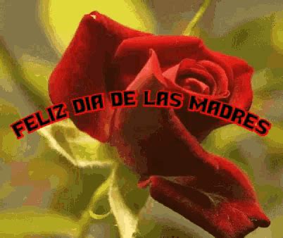 Feliz Dia De Las Madres Happy Mothers Day Feliz Dia De Las Madres