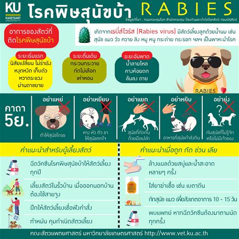 โรคพิษสุนัขบ้า Rabies