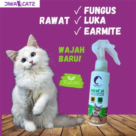 Rawat Masalah Kulit Kucing Miracat Spray Kucing Fungus Luka Earmite