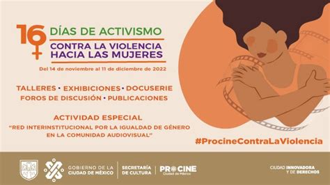 Procine Se Suma A La CampaÑa 16 DÍas De Activismo Contra La Violencia Hacia Las Mujeres