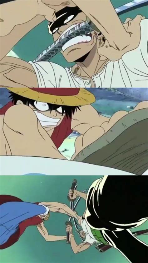 Zoro vs Luffy | One piece anime, Luffy, Zoro