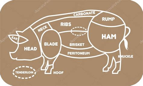 Pork knuckle diagram | Pork or pig cuts. Barbecue vector illustration ...