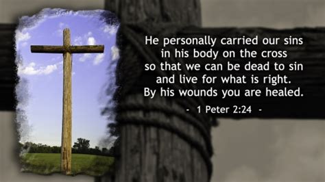 Cross And 1 Peter 224 Sd And Hd Still Vision 111 Sermonspice