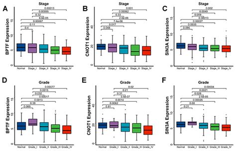 Identification Of Prognostic Chromatin Remodeling Genes In Clear Cell