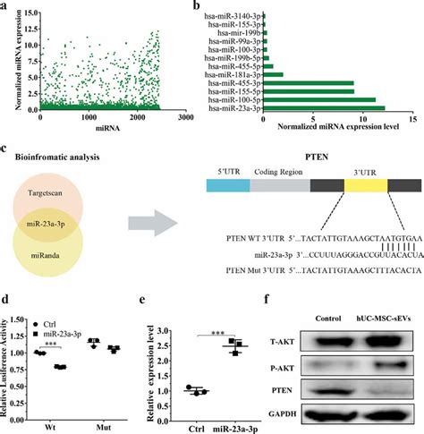 Huc‐mscs‐sevs Activated The Ptenakt Signalling Pathway By Delivering Download Scientific