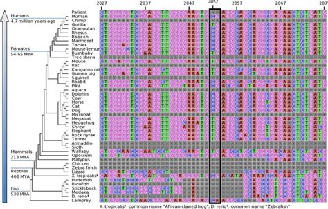 Diagnostic Exome Sequencing Identifies Two Novel Iqsec Mutations