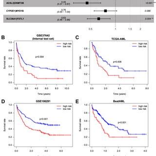 Construction And Validation Of The Paired IPRP Signature And Risk Score