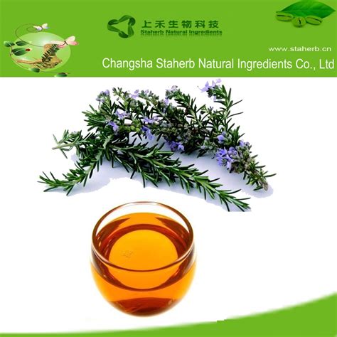 迷迭香精油rosemary Essential Oil