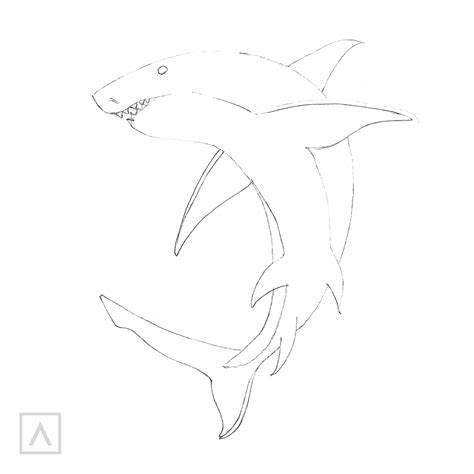 How to Draw a Shark in 6 Steps | ARTEZA