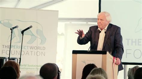 Sir David Attenborough The Perfect World Foundation Youtube