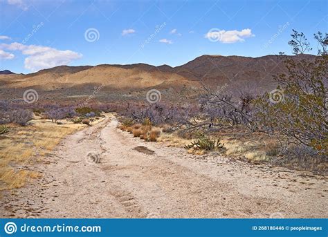 Desert Trail - Anza-Borrego. Trail in in Anza-Borrego Desert State Park ...