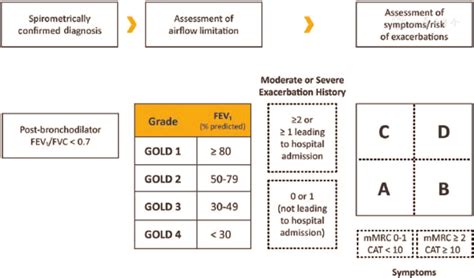 Precision Medicine In Chronic Obstructive Pulmonary Disease Chinese