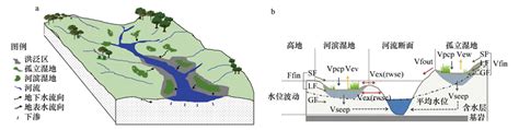 湿地生态水文模型研究综述