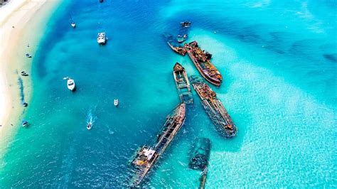 Tangaloomas Shipwrecks A Snorkelling Paradise The Courier Mail