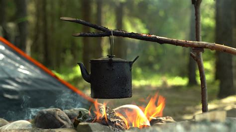 A tourist kettle hangs on a branch over the fire and boils water