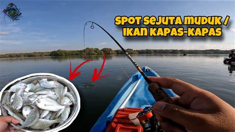 Kg Cukup Lah Mancing Ikan Muduk Ga Pake Lama Di Spot Area Tol Ini