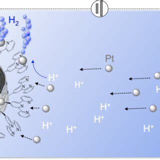 Hydrogen Production On Pt Single Atoms Embedded In Terpyridine