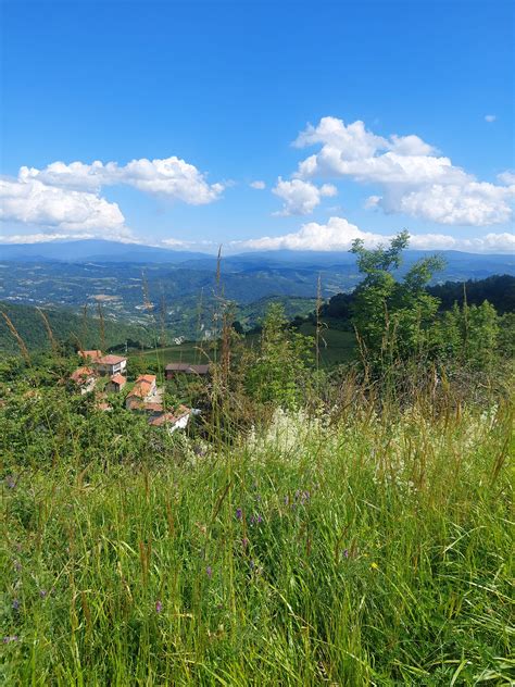 Boschi Fatati E Panorami Incantati Festeggiamo Lestate Sui Sentieri