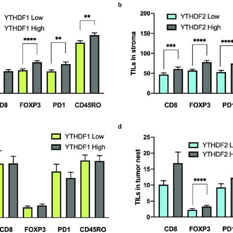 Ythdf1 And Ythdf2 Knockdown Suppresses Cell Proliferation And Partially Download Scientific