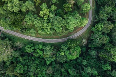 road and green trees from above in the summer forest 6910250 Stock Photo at Vecteezy