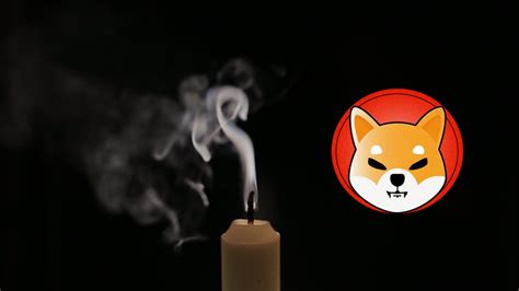 Shiba Inu Burn Tracker Explains Why Burns Are Not Moving Prices