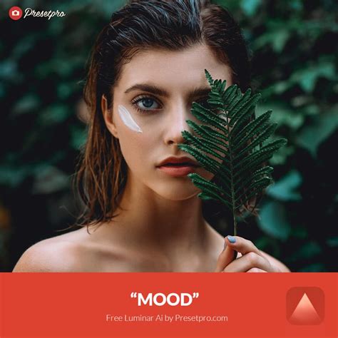 Free Luminar Ai Template Mood Preset