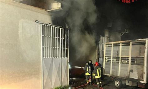 Incendio Distrugge Un Capannone E Coinvolge Due Autocarri Ma Grazie