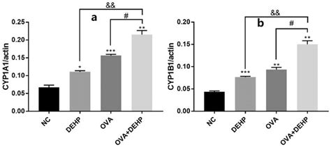 The MRNA Expression Levels Of CYP1A1 A And CYP1B1 B Were Measured