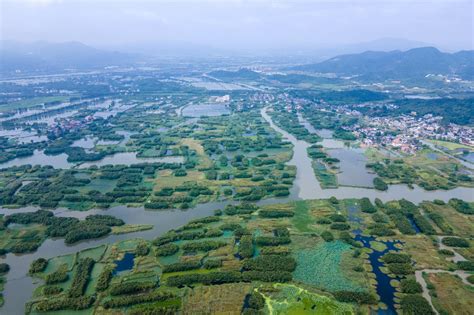 德清下渚湖，一处原生态的天然湿地秘境，被誉为“中国最美湿地”下渚湖德清下渚湖湿地新浪新闻