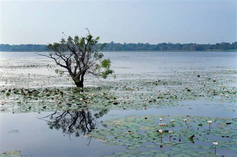 Transforming Natural Resource Conflict Into Peace And Prosperity In