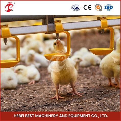 Bestchickencage Broiler Deep Litter System Free Sample China ABS