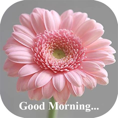 Good Morning Flower Cards For Pc Mac Windows 111087 Free Download