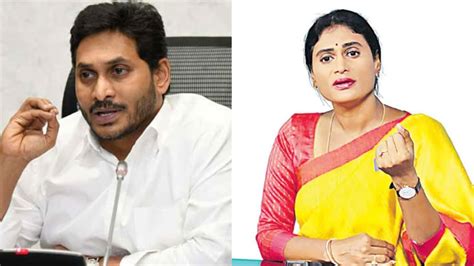 Sharmila And Sunitha Unite To Defeat CM Jagan In Pulivendula And