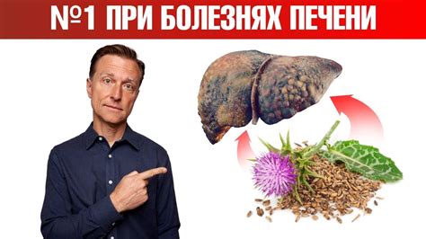 Трава №1 при заболеваниях печени. Восстановление печени🤗 - YouTube